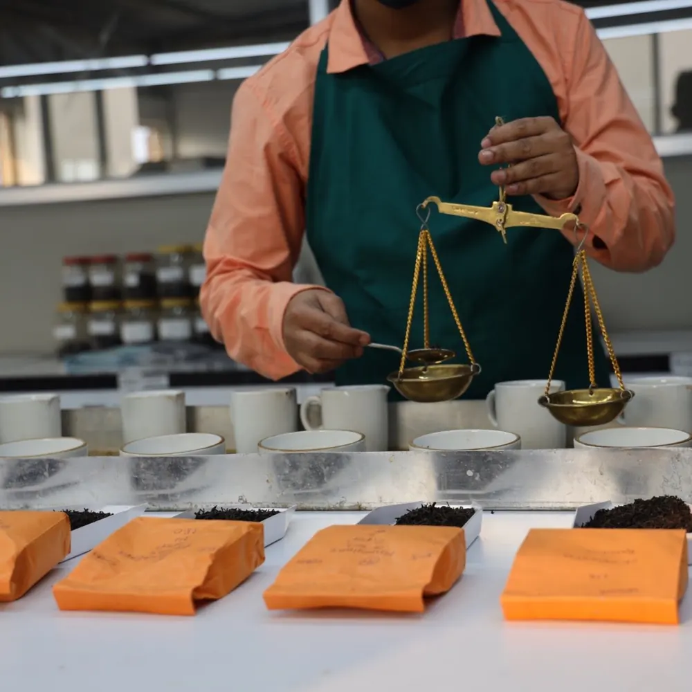 Tea tasting session at Saman