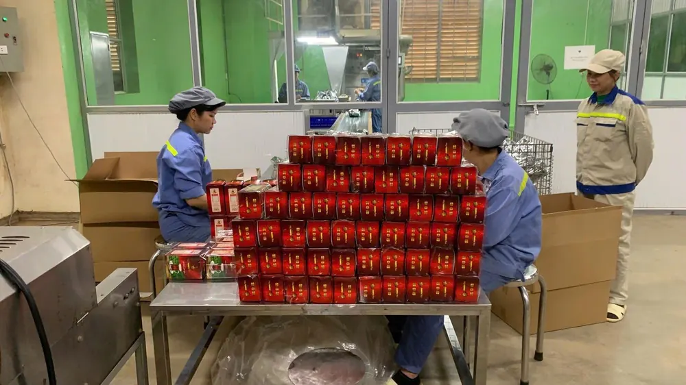 Tea packing at Saman Far East, Vietnam
