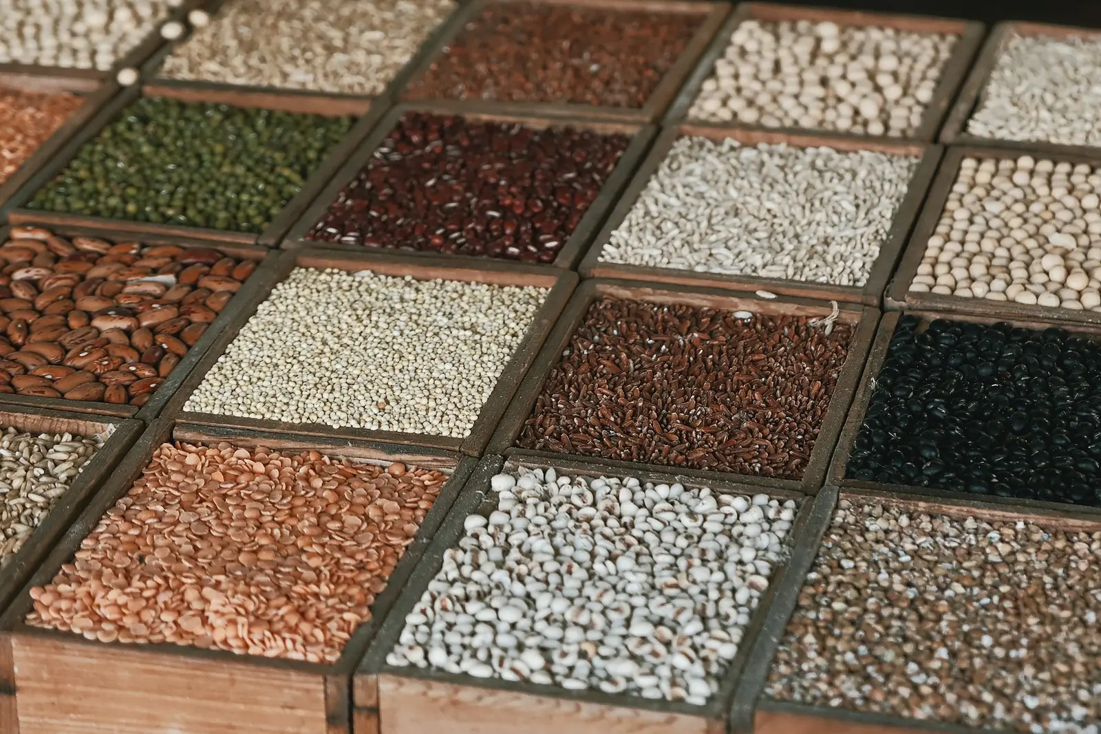 Trays of colourful pulses and grains