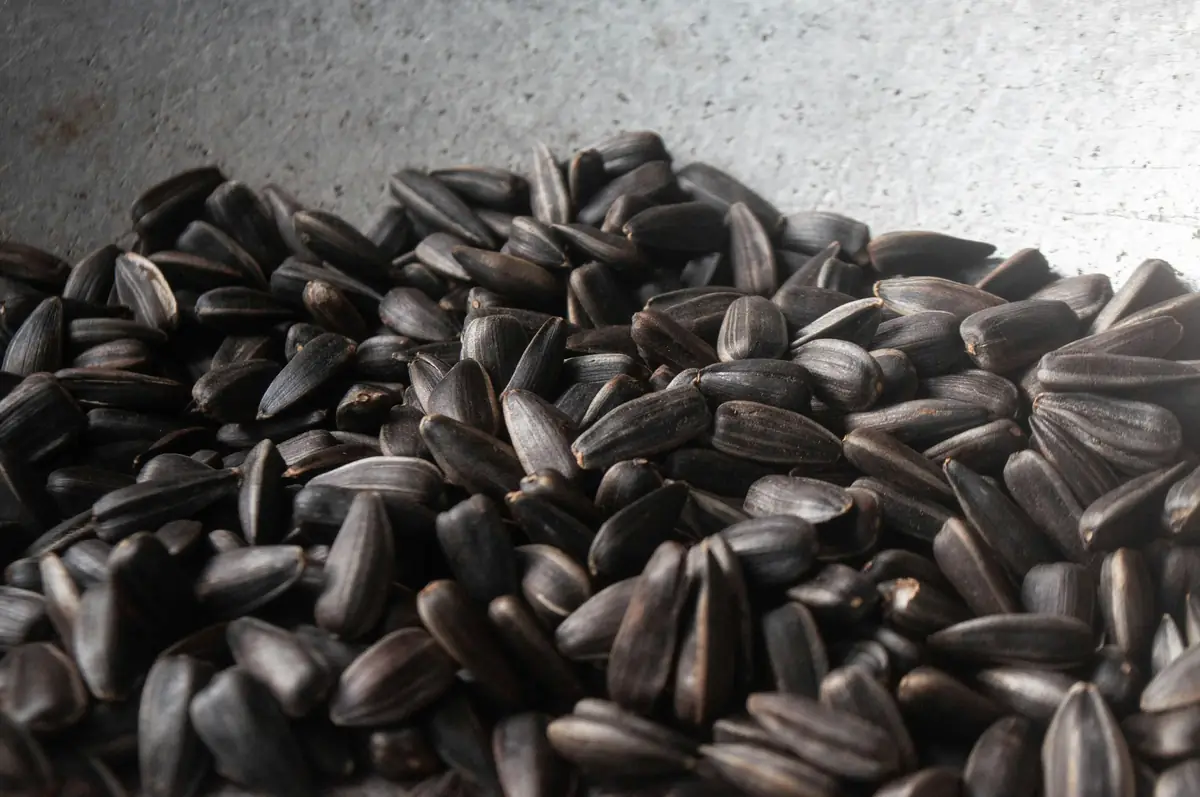 Sunflower seeds